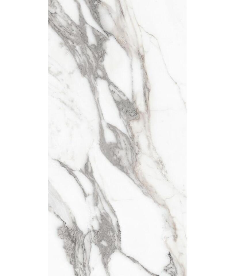 Фото №26  REX Керамогранит LES ORIGINES DE REX ARGENT GLOSSY 60X120