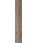 Превью фото №1  ABK Керамогранит POETRY WOOD OAK NAT RETT 20x120