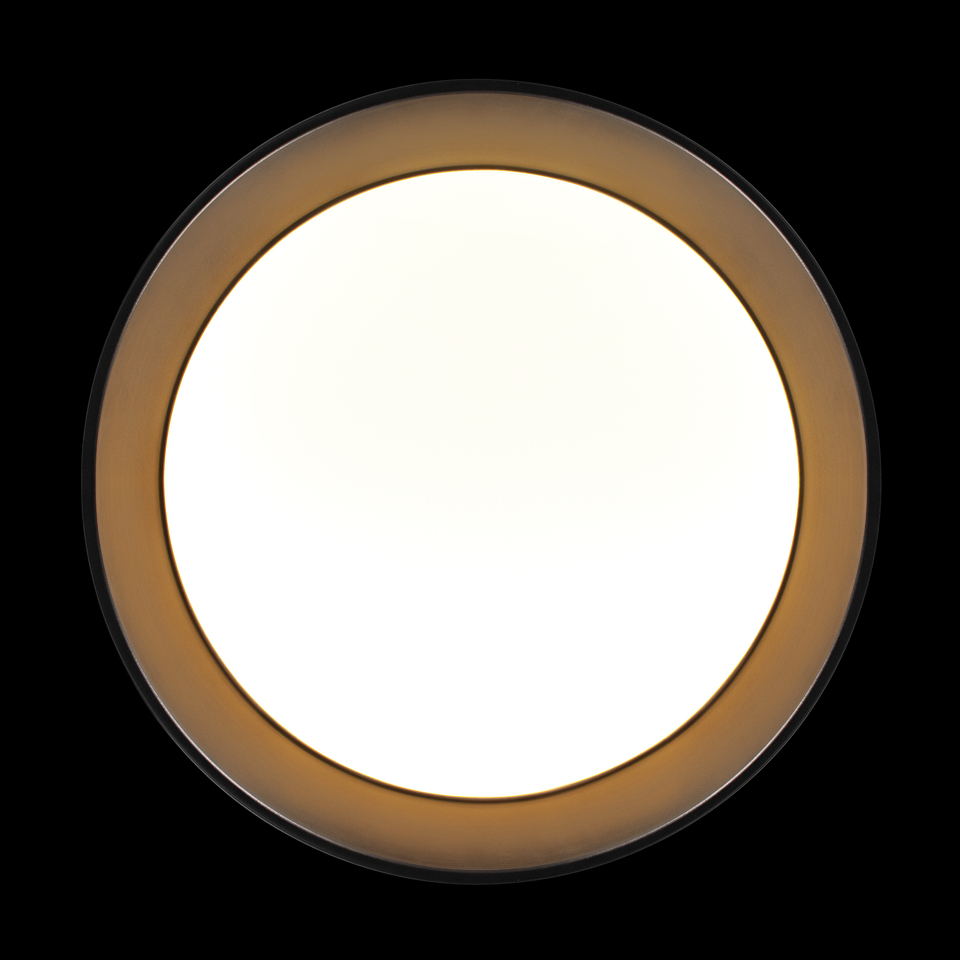 Фото №7  10202 BB Потолочный светильник LOFT IT Coin