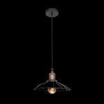 Превью фото №2  Подвесной светильник LOFT1101 Подвесной светильник LOFT IT Factory filament