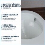 Превью фото №13  Унитаз Teymi Унитаз подвесной Lina VORTEX безободковый, сиденье Дюропласт микролифт T40110