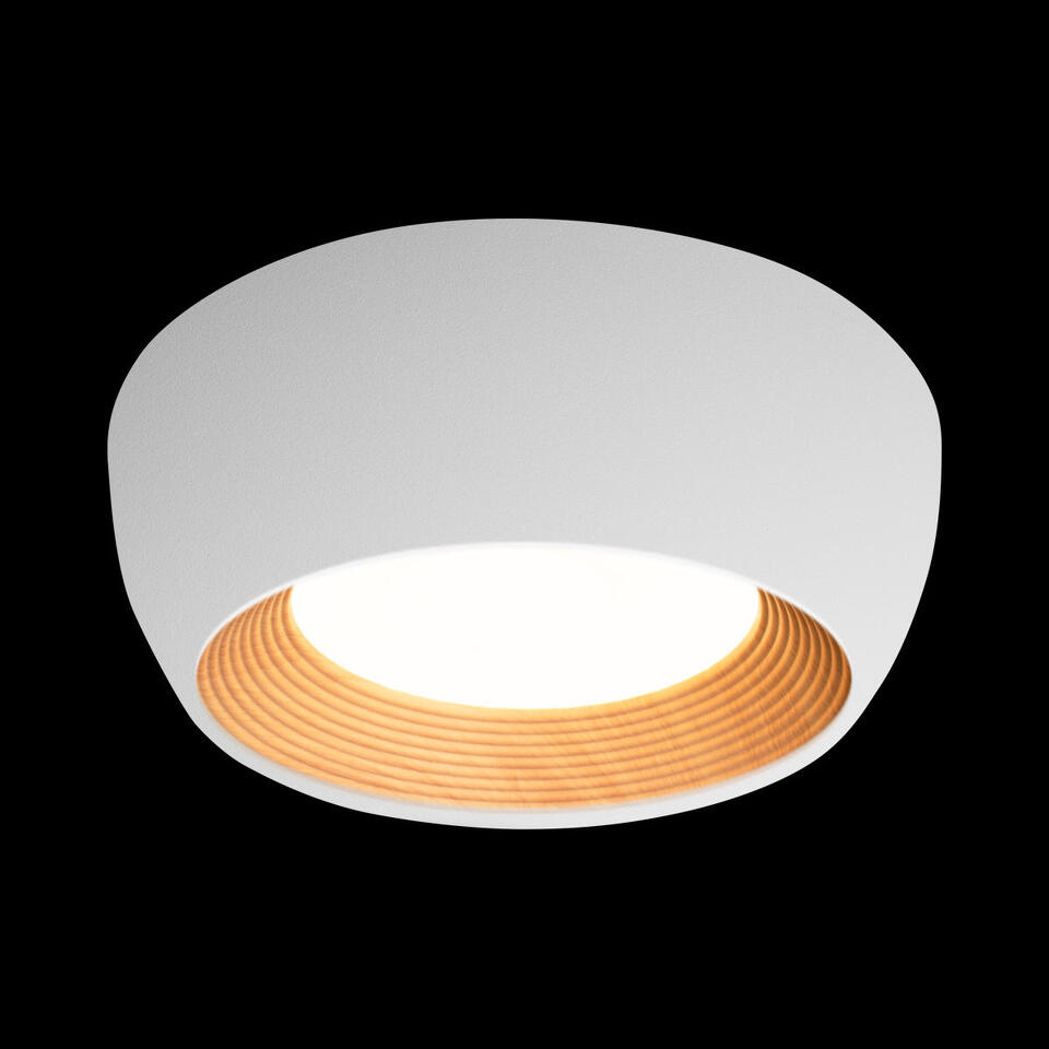 Фото №7  10255/350 White Потолочный светильник LOFT IT Folk