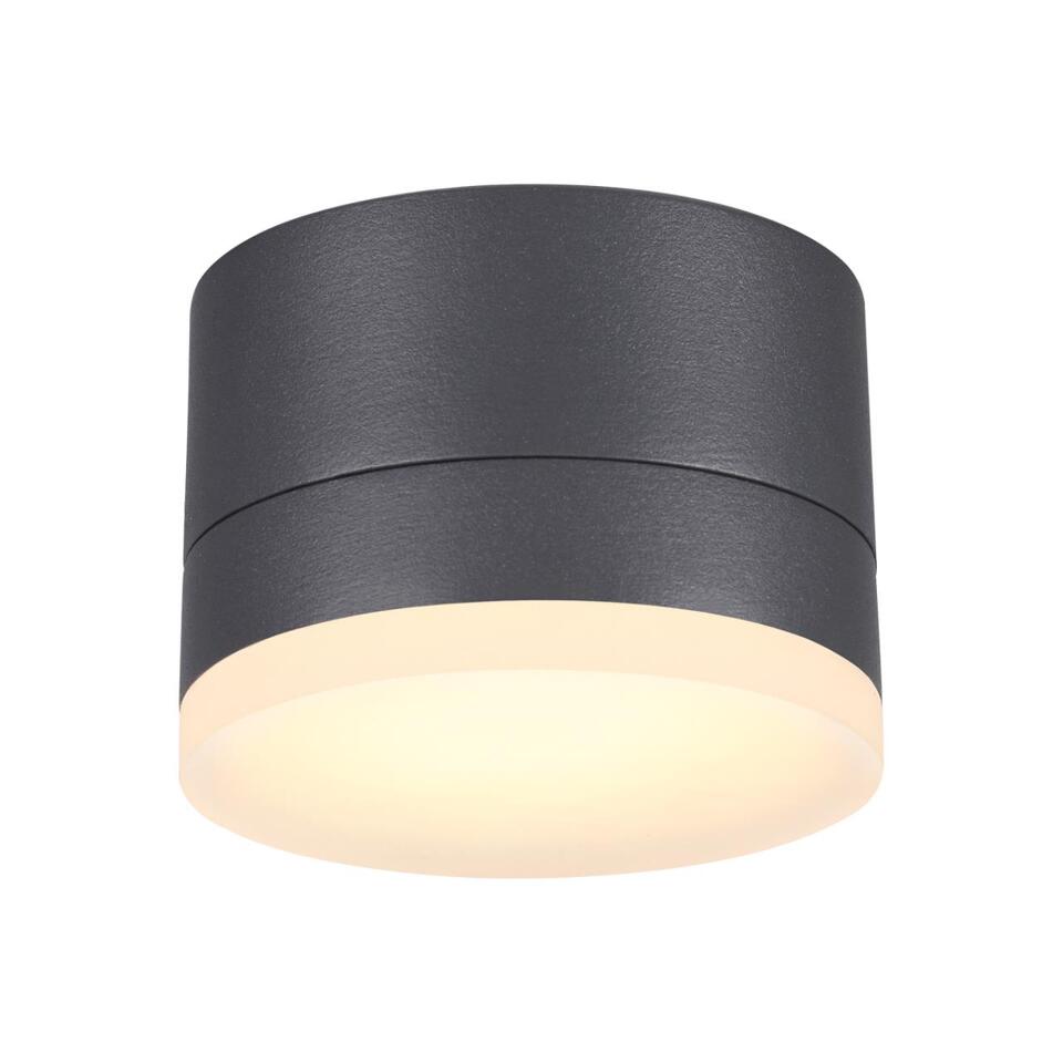 Фото №3  NOVOTECH 358084 STREET NT19 728 темно-серый Ландшафтный светильник IP54 LED 3000К 12W 220V KAIMAS