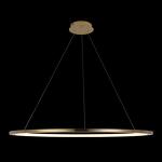 Превью фото №4  Подвесной светильник 10014XXL Подвесной светильник LOFT IT Ring