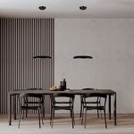Превью фото №7  Подвесной светильник 10371P Black Подвесной светильник LOFT IT Dime