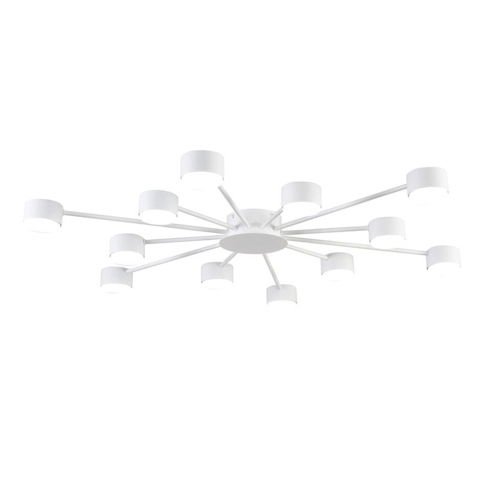 Фото №6  Люстра LUMION 8343/12C COMFI LN26 252 белый, металл Люстра GX53 LED 12*7W 220V TORINA