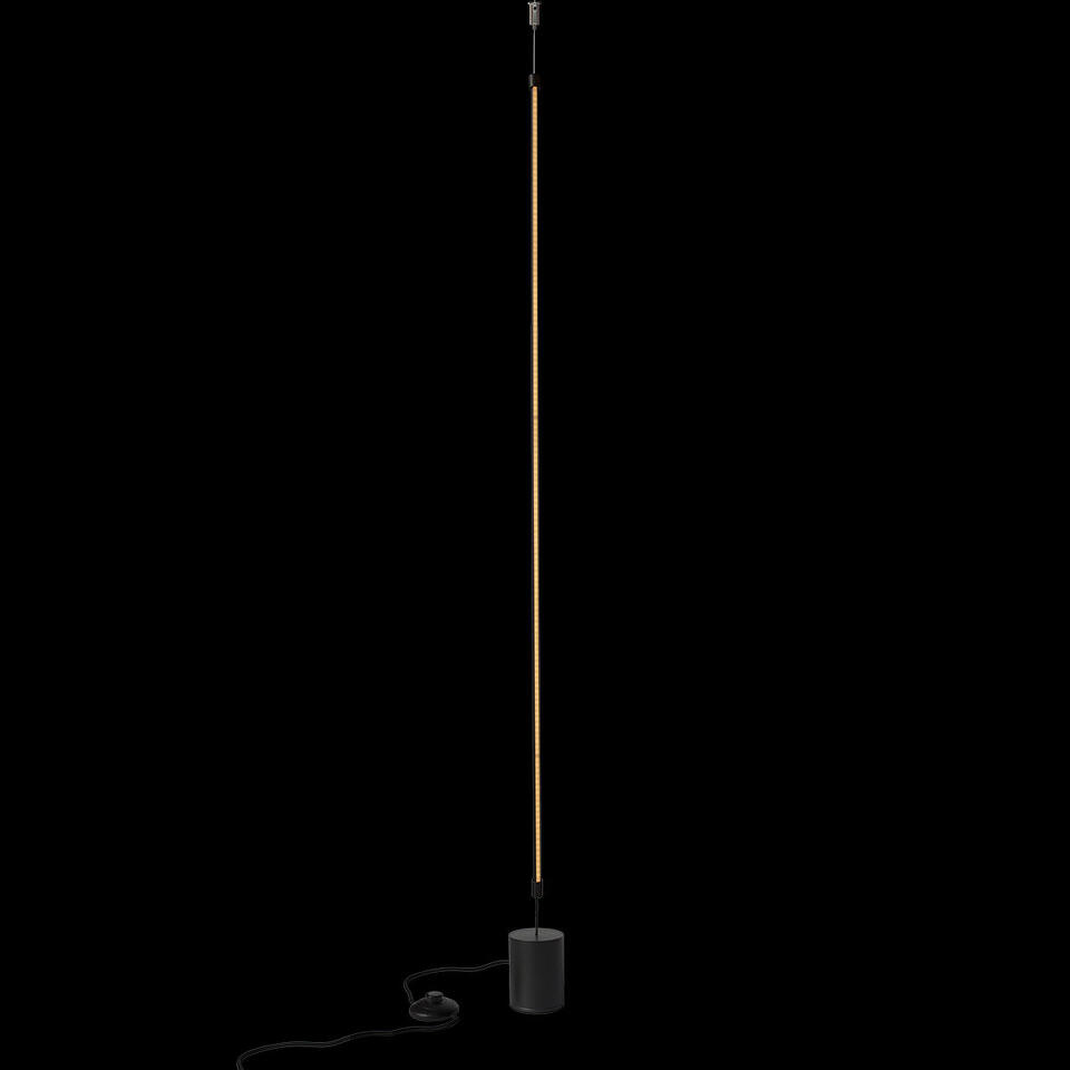 Фото №5  Торшер 3604-BL Торшер LOFT IT Slim