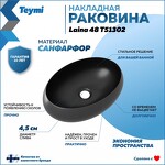 Превью фото №2  Раковина Teymi Раковина для ванной накладная Laina 48 цвет черный матовый T51302