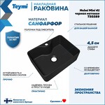 Превью фото №2  Раковина Teymi Раковина Helmi Mini 41, накладная с полочкой под смеситель, Черная Матовая T50289
