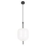 Превью фото №3  Подвесной светильник 10223/D White Подвесной светильник LOFT IT Venice
