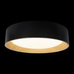 Превью фото №2  10202 Black Потолочный светильник LOFT IT Coin
