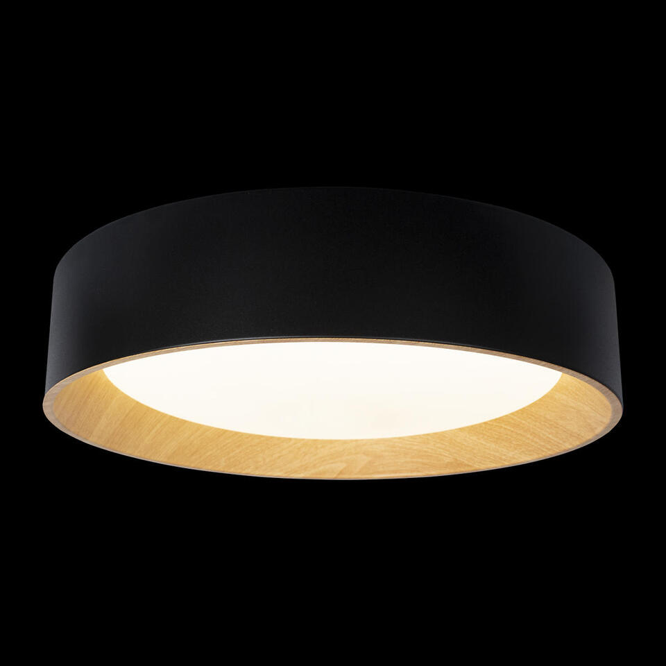 Фото №6  10202 Black Потолочный светильник LOFT IT Coin