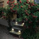 Превью фото №1  NOVOTECH 358095 STREET NT19 770 белый Подсветка лестницы IP65 LED 4000K 3W 220V SCALA