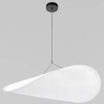 Превью фото №1  Подвесной светильник 10347/XL Подвесной светильник LOFT IT Tense