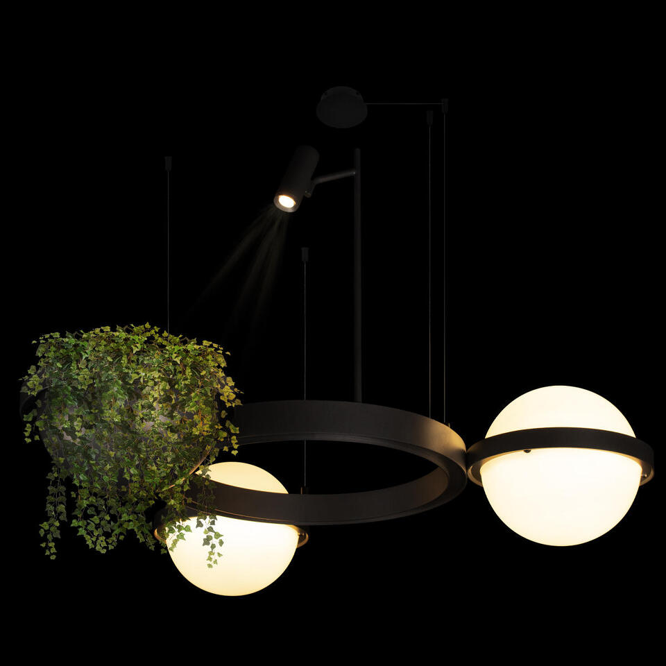 Фото №8  Подвесной светильник 10121/2 Подвесной светильник LOFT IT Jardin