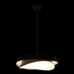 Превью фото №2  Подвесной светильник 10256P Black Подвесной светильник LOFT IT Petale