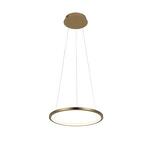 Превью фото №5  Подвесной светильник 10014S Подвесной светильник LOFT IT Ring
