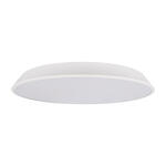 Превью фото №1  10226 White Потолочный светильник LOFT IT Brim