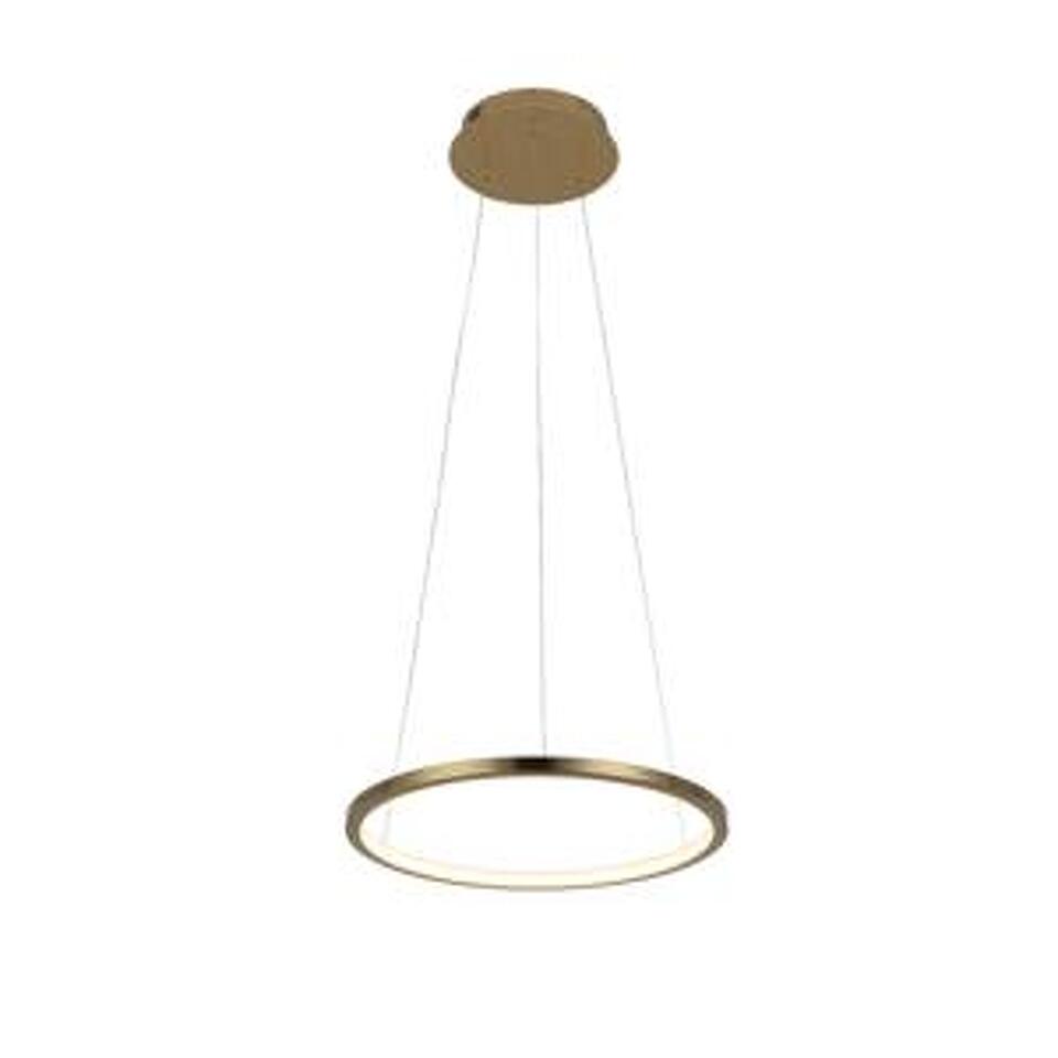 Фото №5  Подвесной светильник 10014S Подвесной светильник LOFT IT Ring