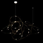 Превью фото №2  Подвесной светильник 10309/21 Подвесной светильник LOFT IT Flock of Light