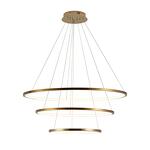 Превью фото №1  Подвесной светильник 10015/3 Подвесной светильник LOFT IT Ring