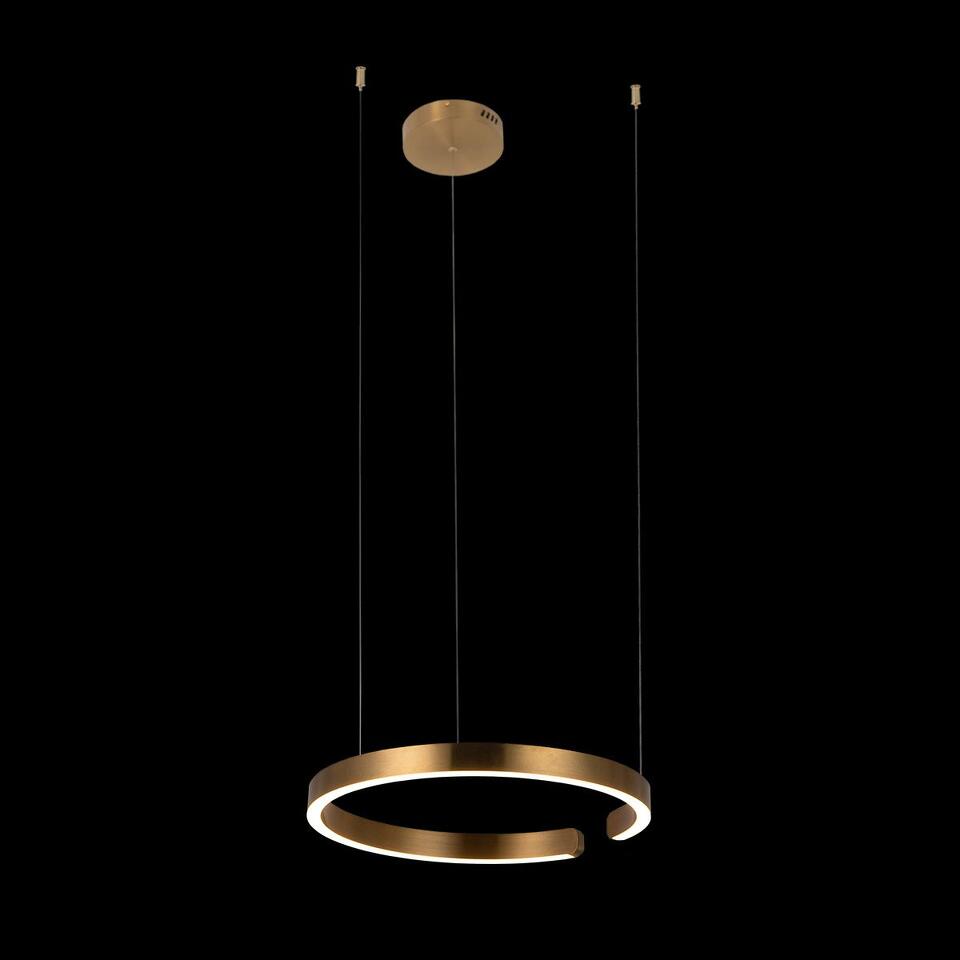 Фото №5  Подвесной светильник 10013M Подвесной светильник LOFT IT Ring