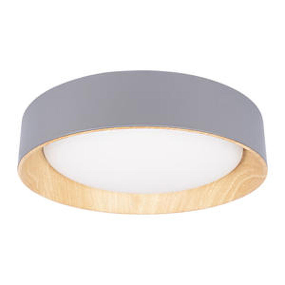 Фото №8  10202 Grey Потолочный светильник LOFT IT Coin