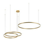 Превью фото №5  Подвесной светильник 10017/3L Подвесной светильник LOFT IT Ring