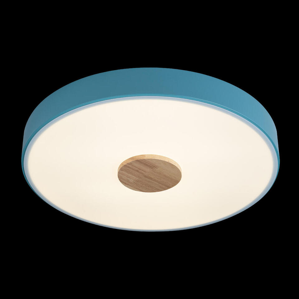 Фото №7  10003/24 Blue Потолочный светильник LOFT IT Axel