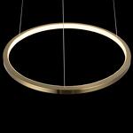 Превью фото №4  Подвесной светильник 10014S Подвесной светильник LOFT IT Ring