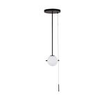 Превью фото №1  Подвесной светильник 10029PS Black Светильник на штанге LOFT IT Signal