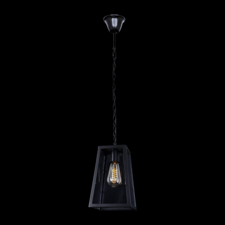 Фото №8  Подвесной светильник LOFT1127 Подвесной светильник LOFT IT Modern filament