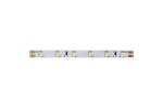 Превью фото №5  SWG PRO Лента светодиодная SMD 2835, 60 LED/м, 4,8 Вт/м, 24В , IP20, Холодный белый