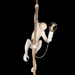 Превью фото №2  Подвесной светильник 10314P Подвесной светильник LOFT IT Monkey