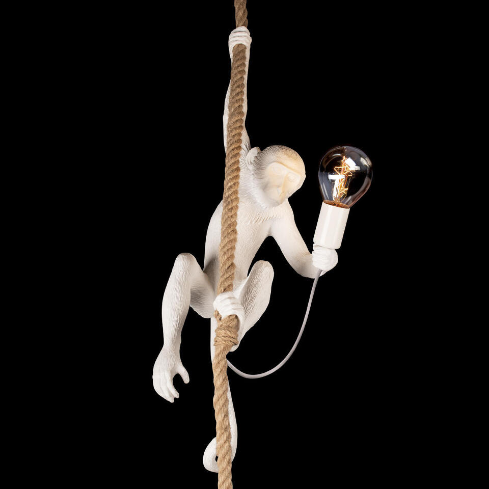 Фото №10  Подвесной светильник 10314P Подвесной светильник LOFT IT Monkey