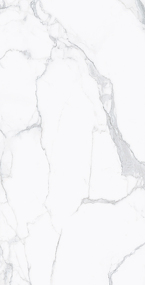 Фото REX Керамогранит I CLASSICI STATUARIO GLOSSY 60X120 RET