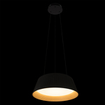 Превью фото №2  Подвесной светильник 10224P Black Подвесной светильник LOFT IT Evans