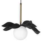 Превью фото №3  Подвесной светильник 10213/A Black Подвесной светильник LOFT IT Monro