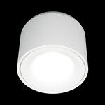 Превью фото №2  10219 White 4000K Потолочный светильник LOFT IT Tictac