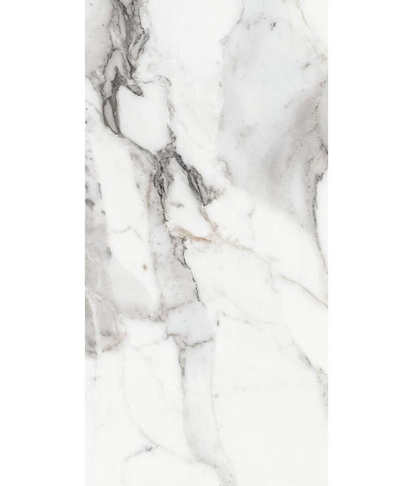 Фото №26  REX Керамогранит LES ORIGINES DE REX ARGENT GLOSSY 60X120