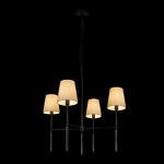 Превью фото №2  Подвесной светильник 10308 Black Подвесной светильник LOFT IT Cosy