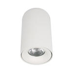 Превью фото №1  10220 White 3000K Потолочный светильник LOFT IT Tictac