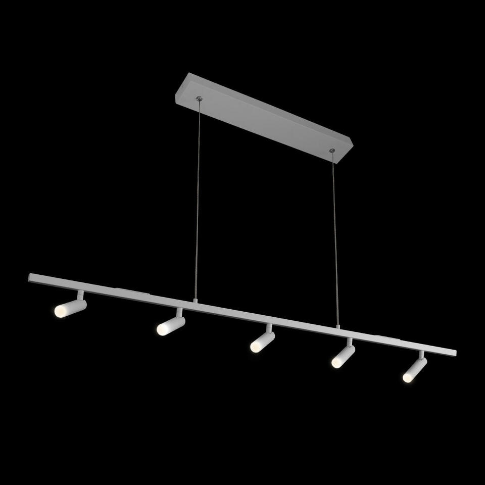 Фото №7  Подвесной светильник 10260/5 White Подвесной светильник LOFT IT Sign