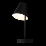 Превью фото №6  10216/1W Black Настенный светильник LOFT IT Shelf