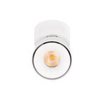 Превью фото №3  10323/A White Накладной светильник LOFT IT Focus