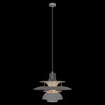 Превью фото №2  Подвесной светильник 10113 Grey Подвесной светильник LOFT IT Floret