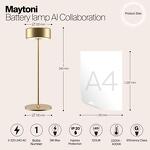 Превью фото №10  Настольная лампа Аккумуляторный светильник Maytoni MOD229TL-L3G3K2