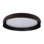 Превью фото №3  10198 Black Потолочный светильник LOFT IT Coin