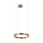 Превью фото №1  Подвесной светильник 10013M Подвесной светильник LOFT IT Ring