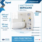 Превью фото №3  Teymi Зеркало Solli Pro 100х70, LED подсветка, сенсор